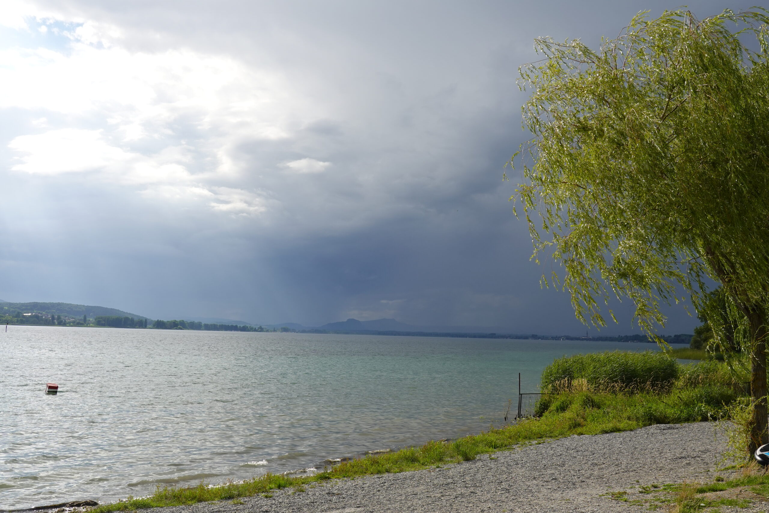 Bodensee; © Eva Baier, Fischwanderung GmbH