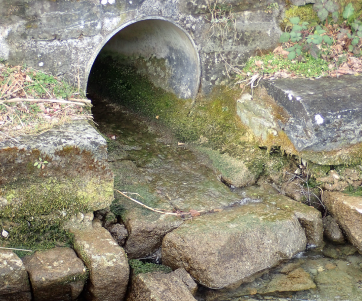Beispielbild Rohreinleitung © Eva Baier, Fischwanderung GmbH
